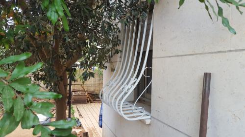 סורג בטן מסוגנן ופרח 6:תמונה מס' 385 קטגוריה:B